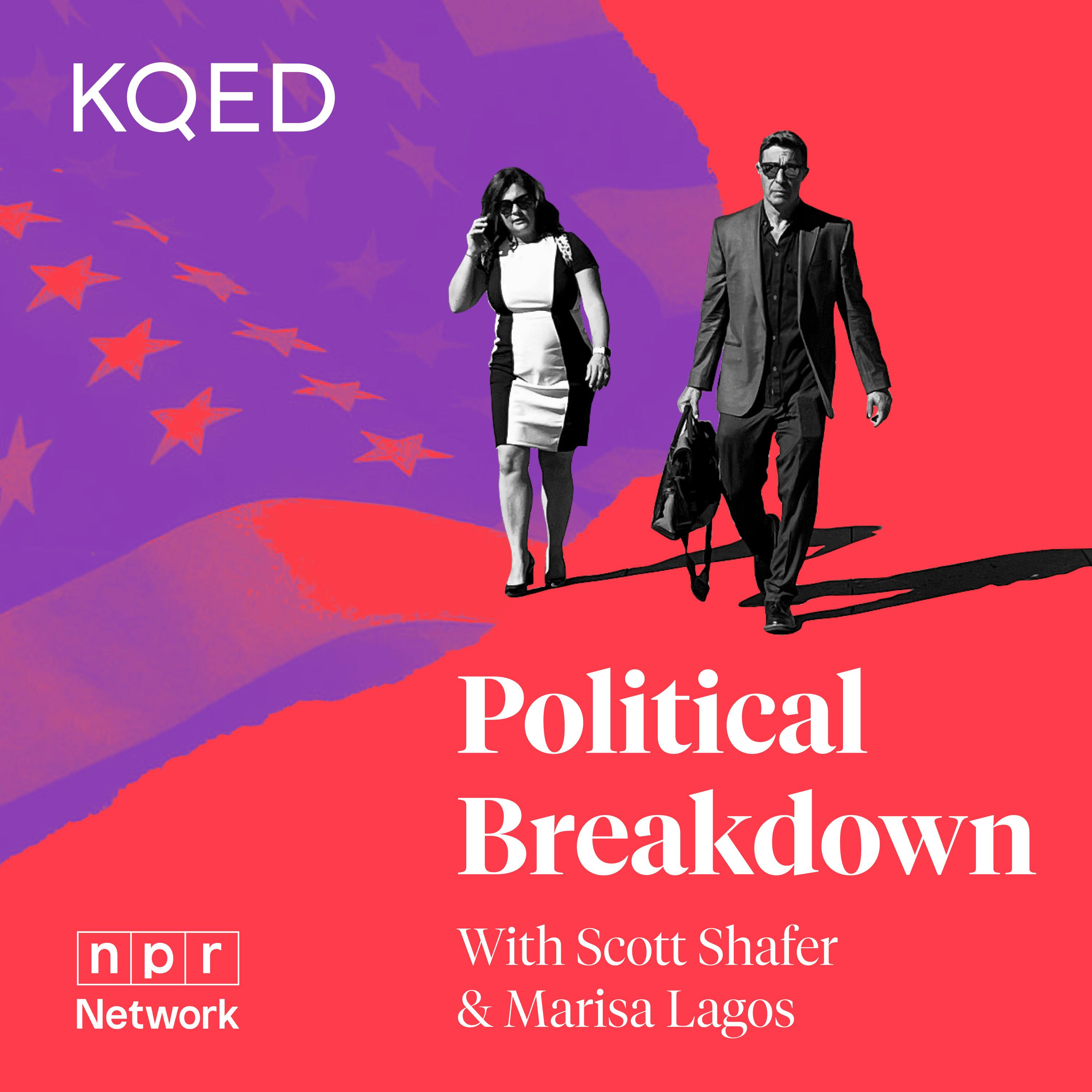 Political Breakdown