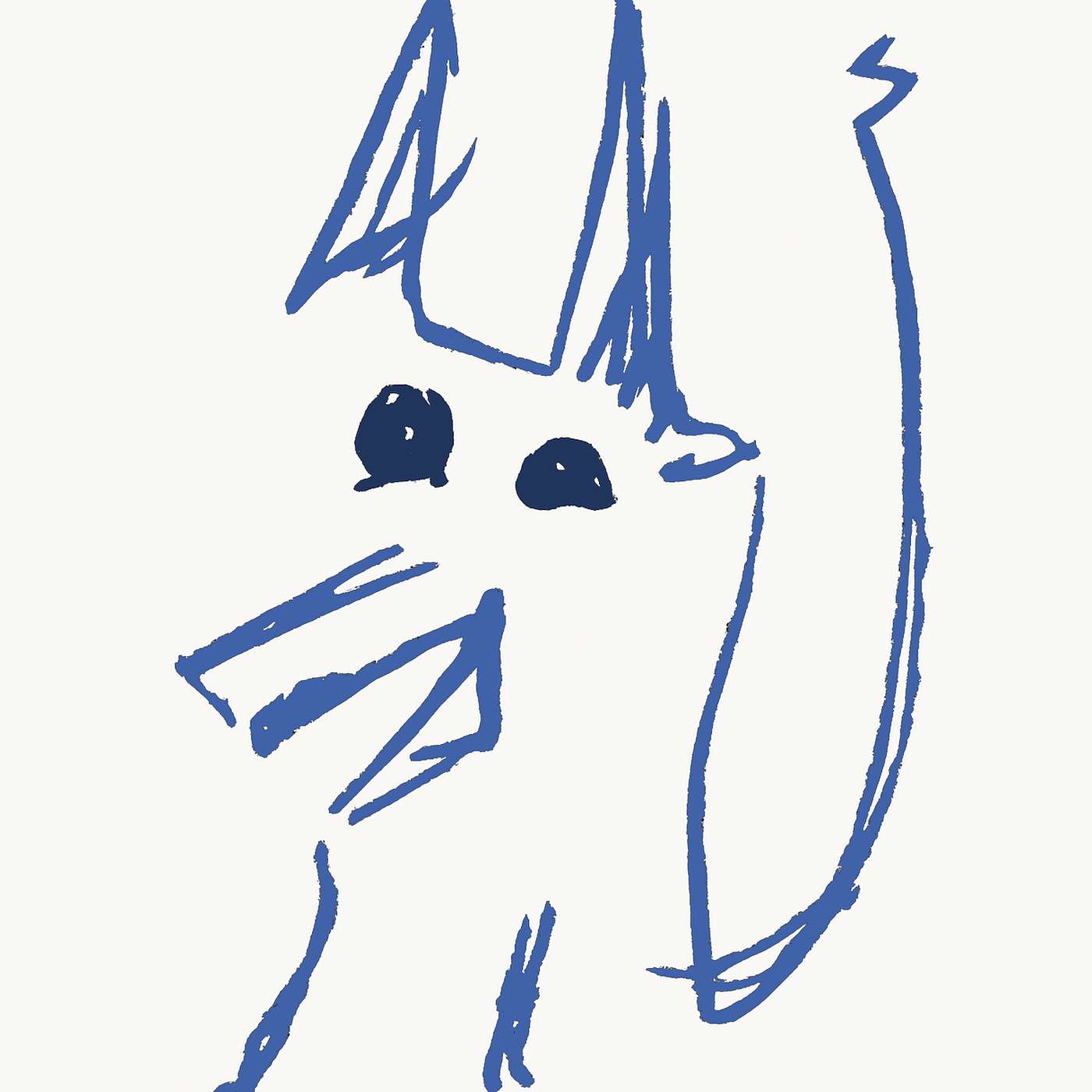 Blue Dog Radio